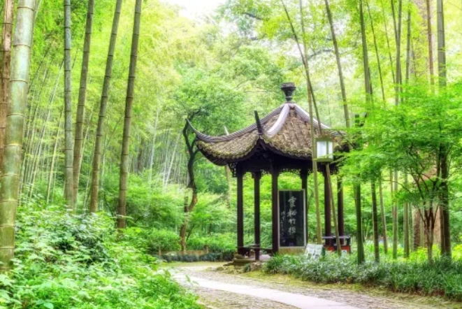 云栖竹径：隐于西湖畔的清幽之境